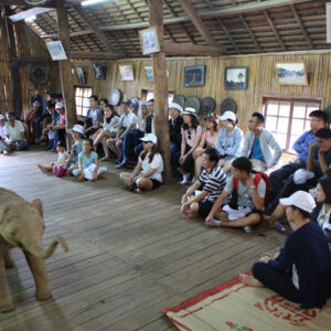 album-1 - IMG_6388.jpg