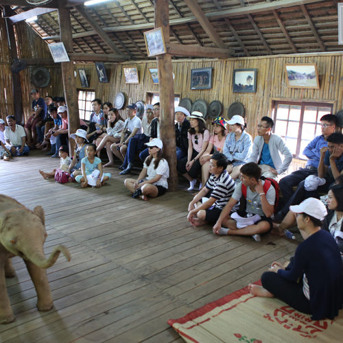 album-1 - IMG_6388.jpg