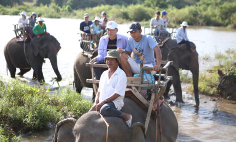 album-1 - IMG_6437.jpg