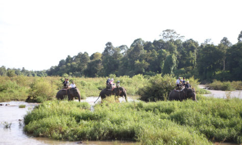 album-1 - IMG_6452.jpg