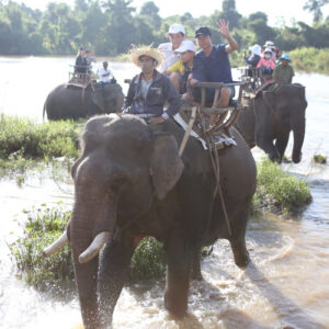 album-1 - IMG_6465.jpg