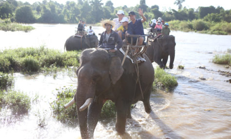 album-1 - IMG_6465.jpg