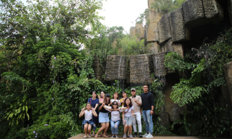 album-4 - IMG_8384.jpg